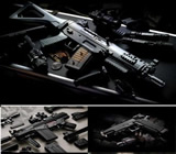 Armas e Munição em Recife
