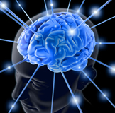 Neurologia e Neurologista em Recife