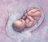 Obstetra e Obstetricia em Recife