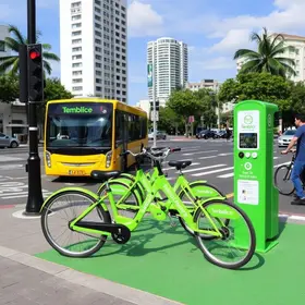 novo Bike PE