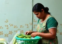 Programa de Aquisição de Alimentos Recife