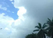 previsão do tempo